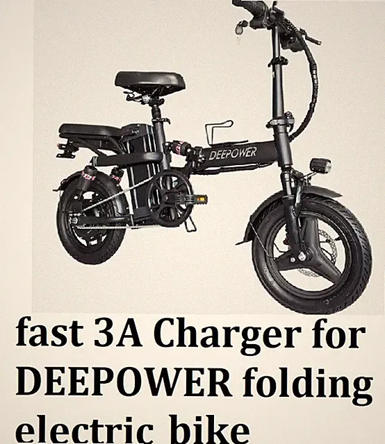 🔥Fast 3A power supply Battery Charger For DEEPOWER folding Electric bike