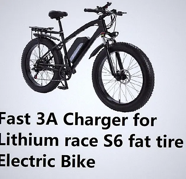 🔥Fast 3A power supply Battery Charger For Lithium Race S6 fat tire electic bike